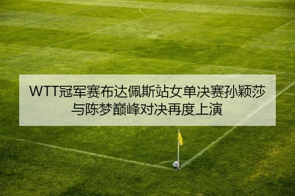 WTT冠军赛布达佩斯站女单决赛孙颖莎与陈梦巅峰对决再度上演